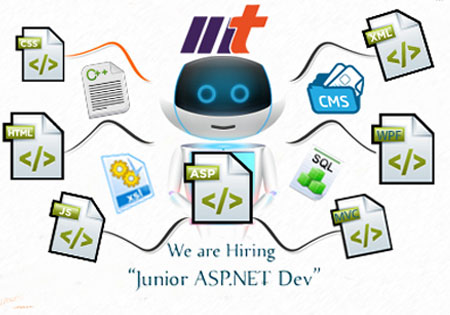 Junior ASP.NET job description