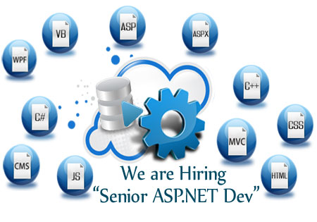Senior-ASP job description